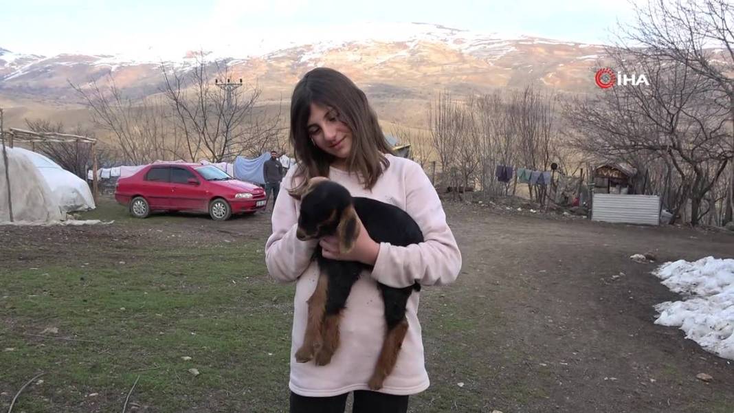 Görenler gözlerine inanamıyor: Tam 3 adet...! Görmek için civar köylerden geliyorlar 17